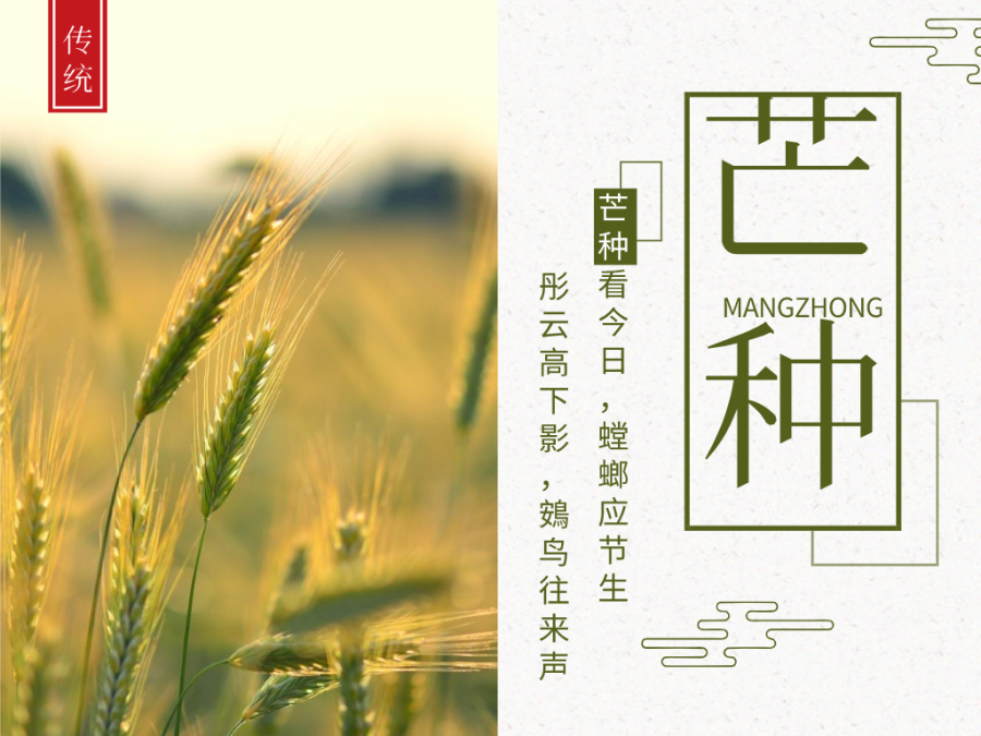 今日芒種，忙有所獲，不負(fù)耕耘！
