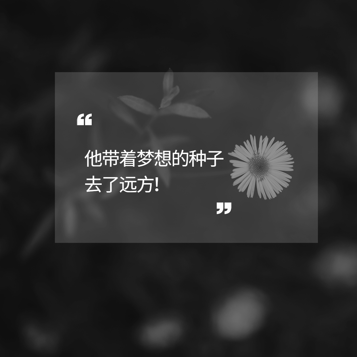 袁隆平用一粒種子的力量改變了世界！