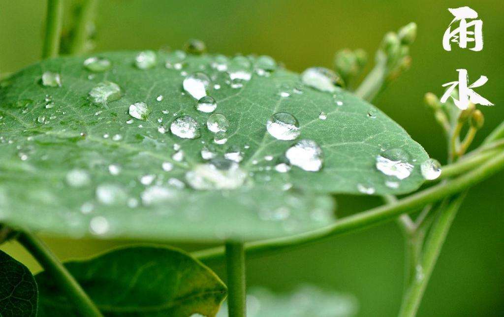 雨水潤(rùn)萬物，兼顧沙與泥！